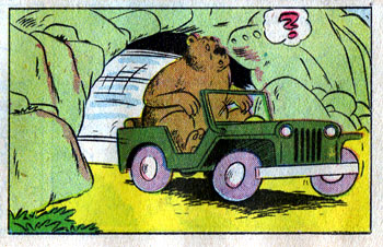 omg bear is driving